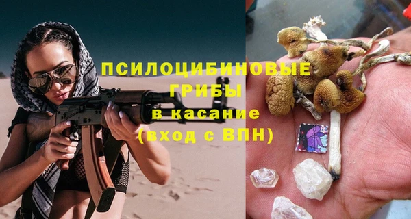 шишки Алексеевка