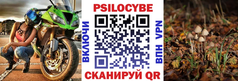 Псилоцибиновые грибы GOLDEN TEACHER  как найти закладки  Дятьково 