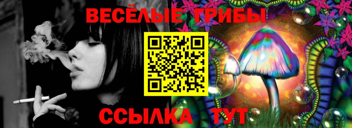 Дятьково  даркнет сайт  Вход с VPN  Псилоцибиновые грибы Magic Shrooms 